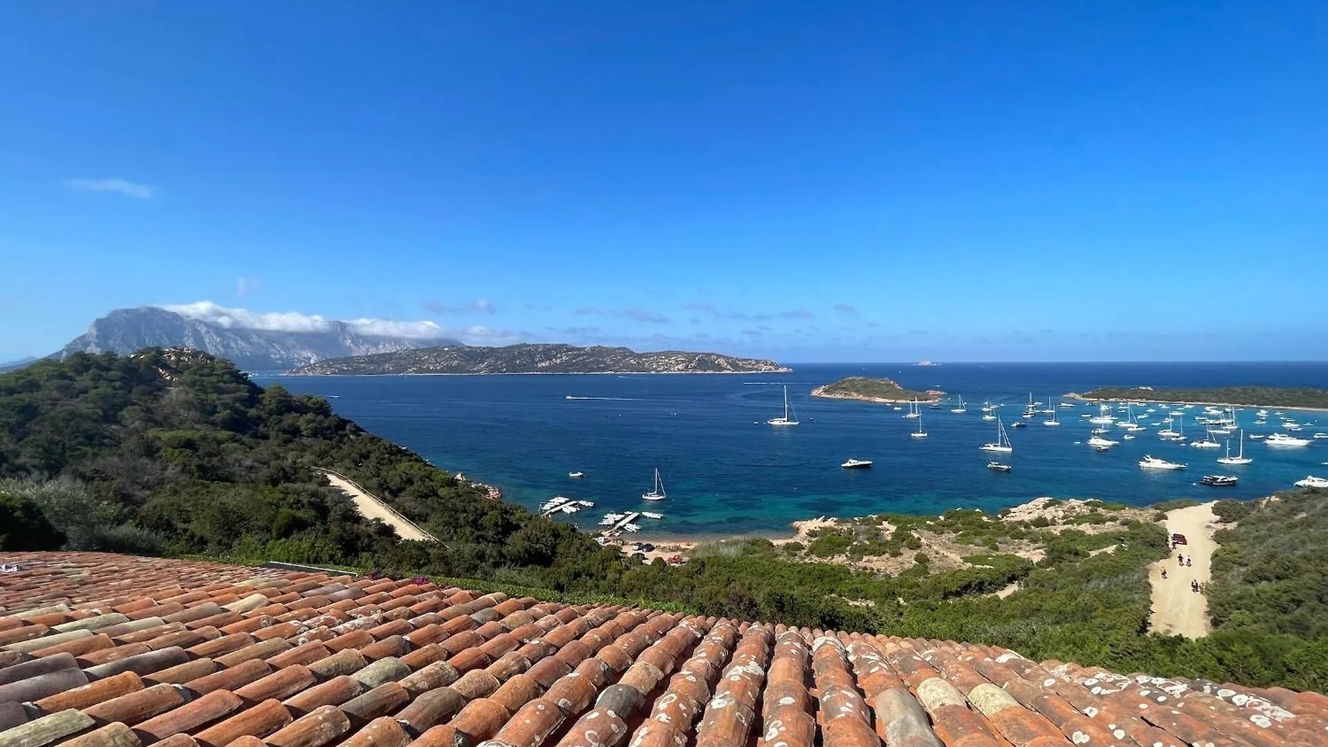 Strepitoso 4 Camere Da Letto E Terrazza Vista Mare Capo Coda Cavallo Daire