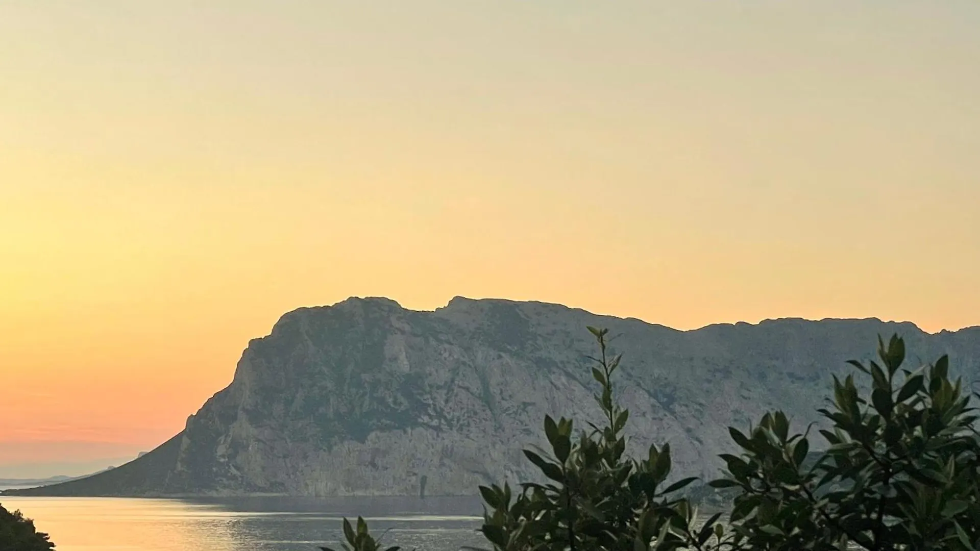 Strepitoso 4 Camere Da Letto E Terrazza Vista Mare Capo Coda Cavallo Daire